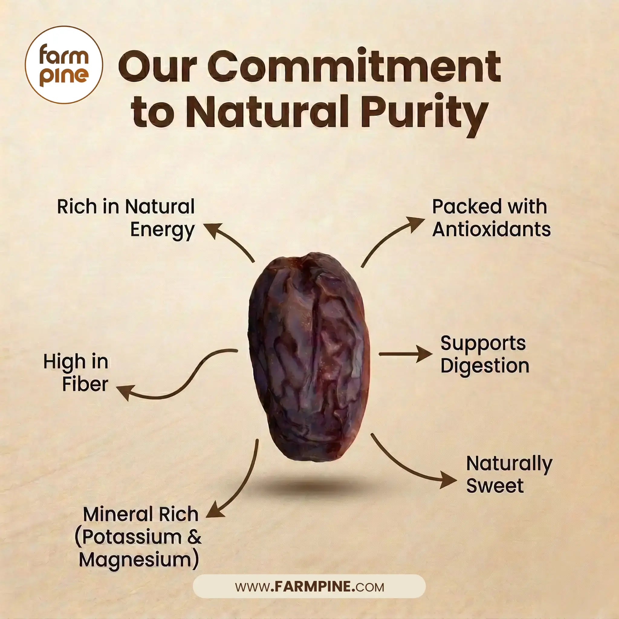 Premium Safawi Dates/Khajoor (IMPORTED)