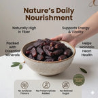 Premium Safawi Dates/Khajoor (IMPORTED)